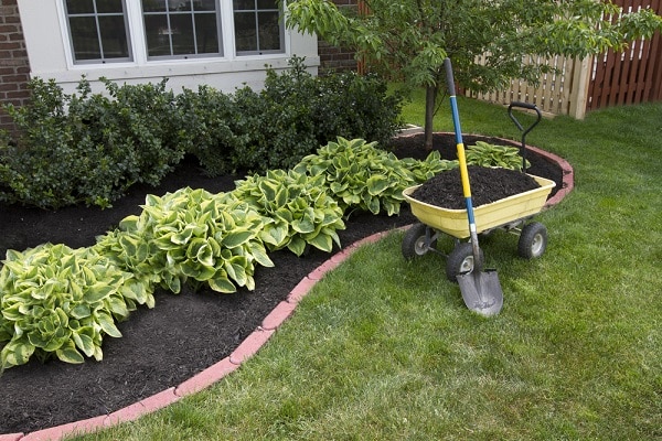 How to Keep Your Yard Beautiful All Year Long: Maintenance-Free Plants