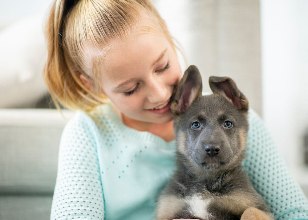 5 Fun Activities to Bond with Your Dog at Home