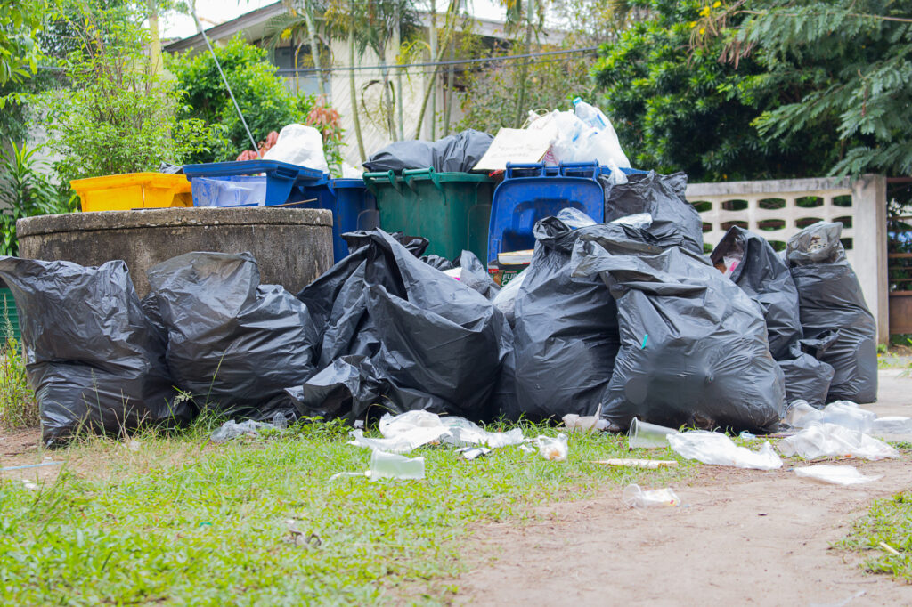 Dumpster Rentals: A Convenient Solution for Rubbish Removal